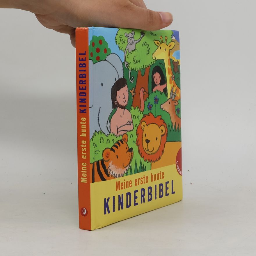 Beate Brielmaier Meine erste bunte Kinderbibel