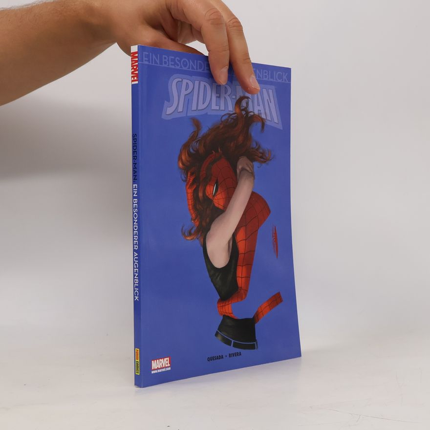Joe Quesada Spider-Man - Ein besonderer Augenblick