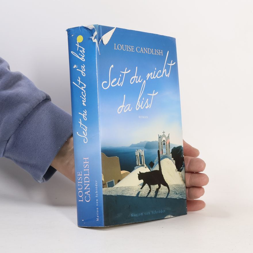 Louise Candlish Seit du nicht da bist