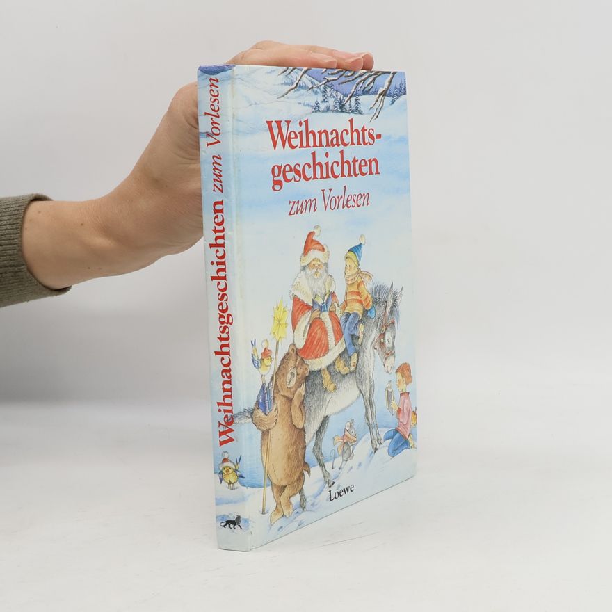 Kolektiv autorů Weihnachtsgeschichten zum Vorlesen