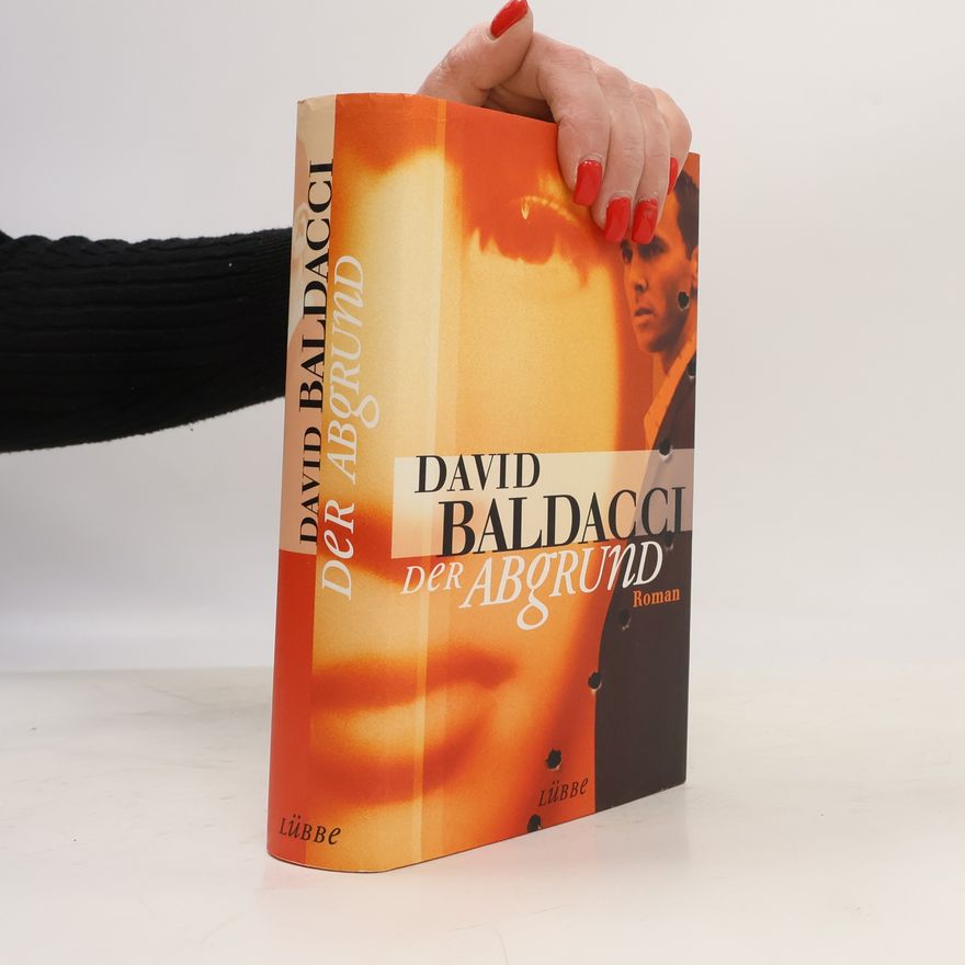 David Baldacci Der Abgrund