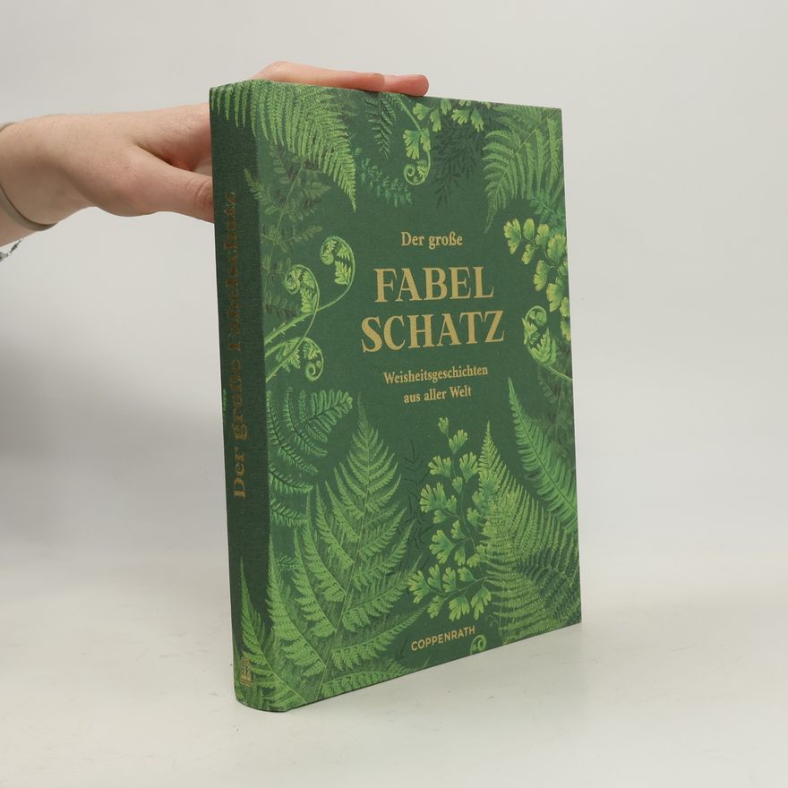 Autorenkollektiv Der große Fabelschatz. Weisheitsgeschichten aus aller Welt