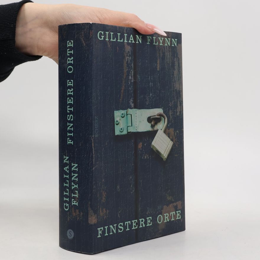 Gillian Flynn Finstere Orte