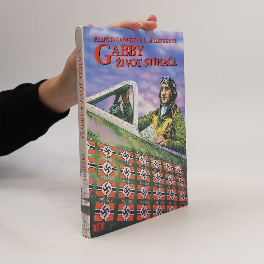 Hana Jarolímová Gabby, život stíhače