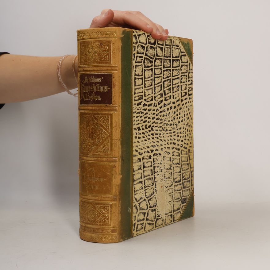 F. A. Brockhaus Brockhaus' Konversations-Lexikon 14