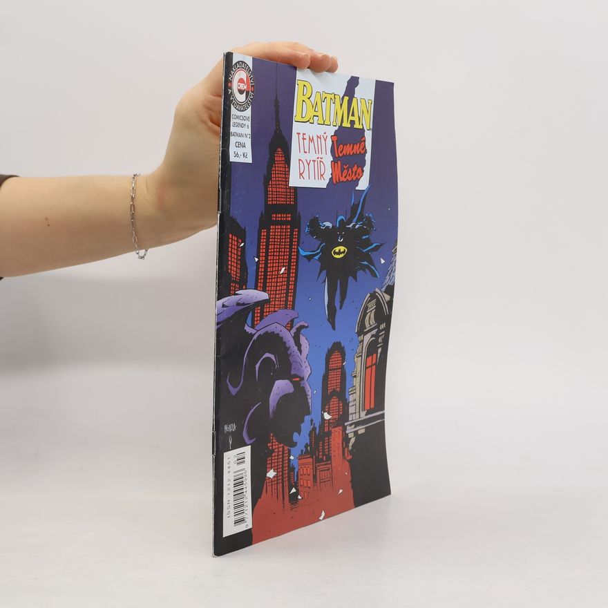 Kolektiv autorů Batman 6. Temný rytíř. Temné město