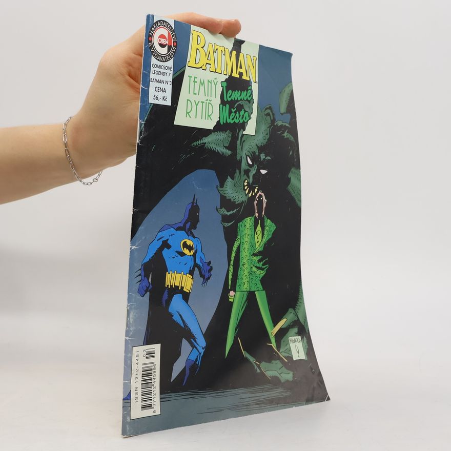 Kolektiv autorů Batman 3. Temný rytíř. Temné město