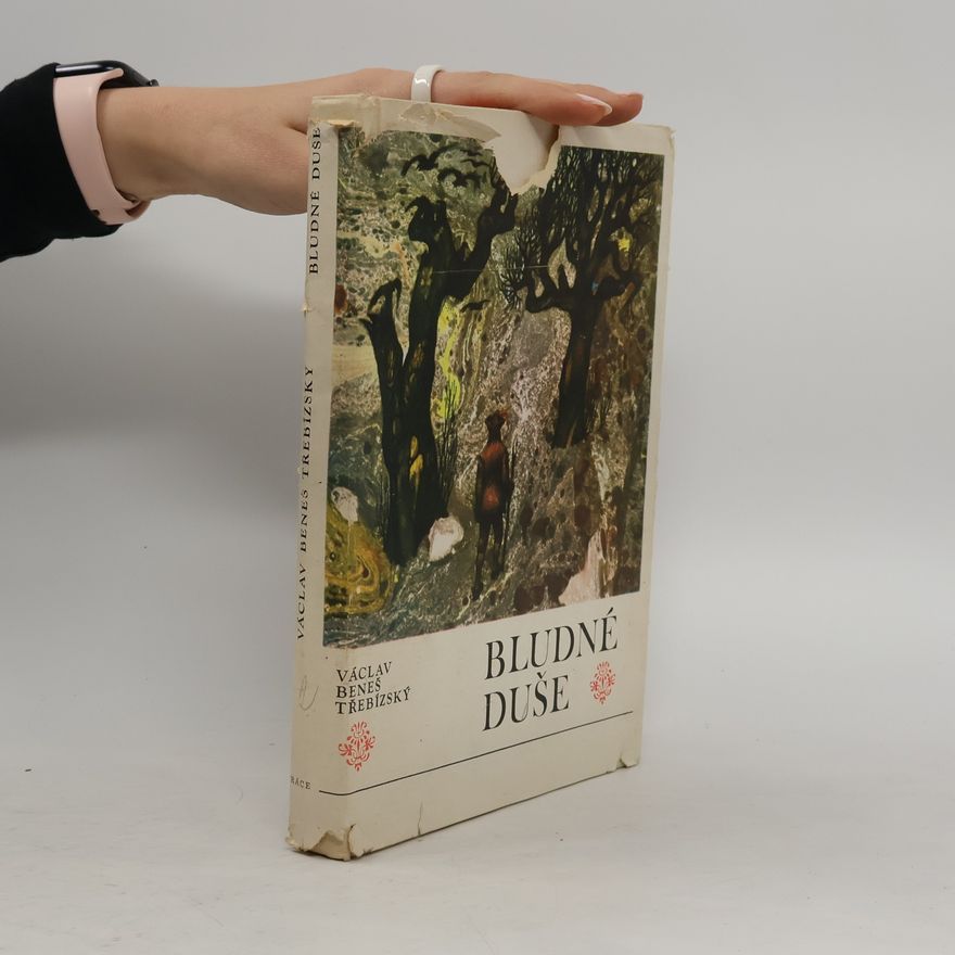 Václav Beneš Třebízský Bludné duše