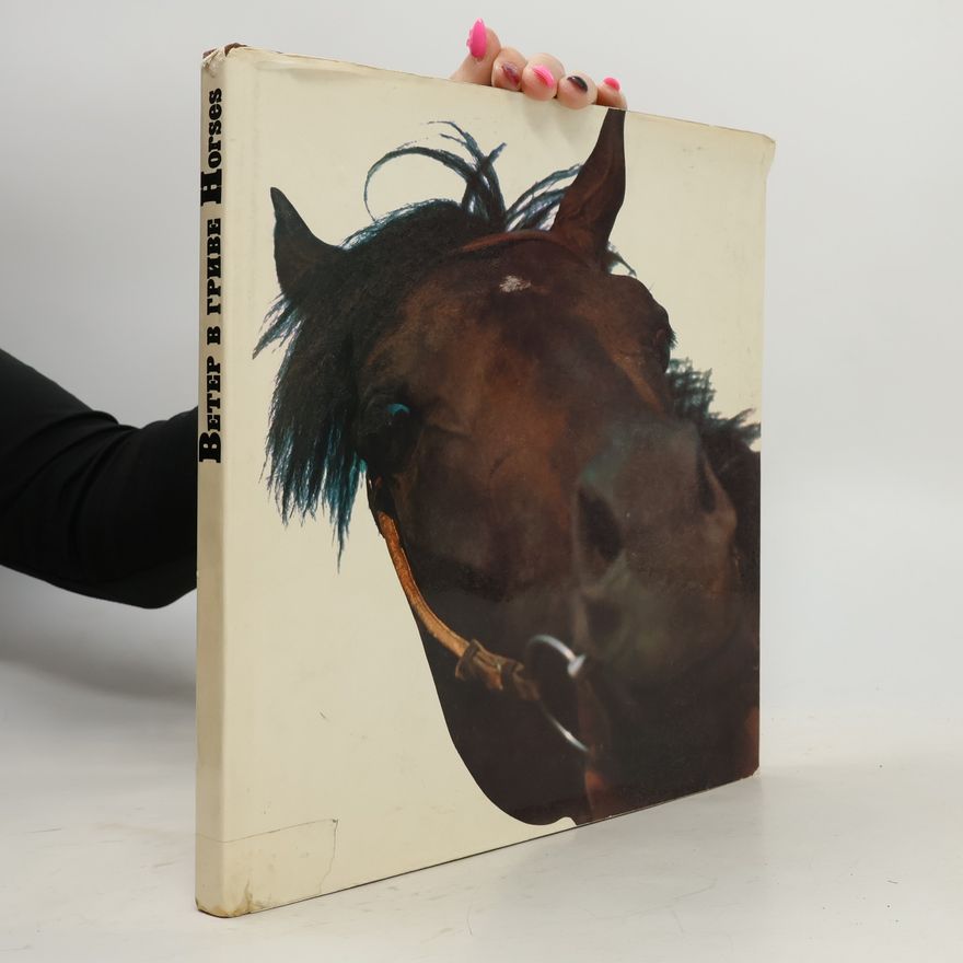 Igor Fjodorovič Bobylev Ветер в гриве. Horses