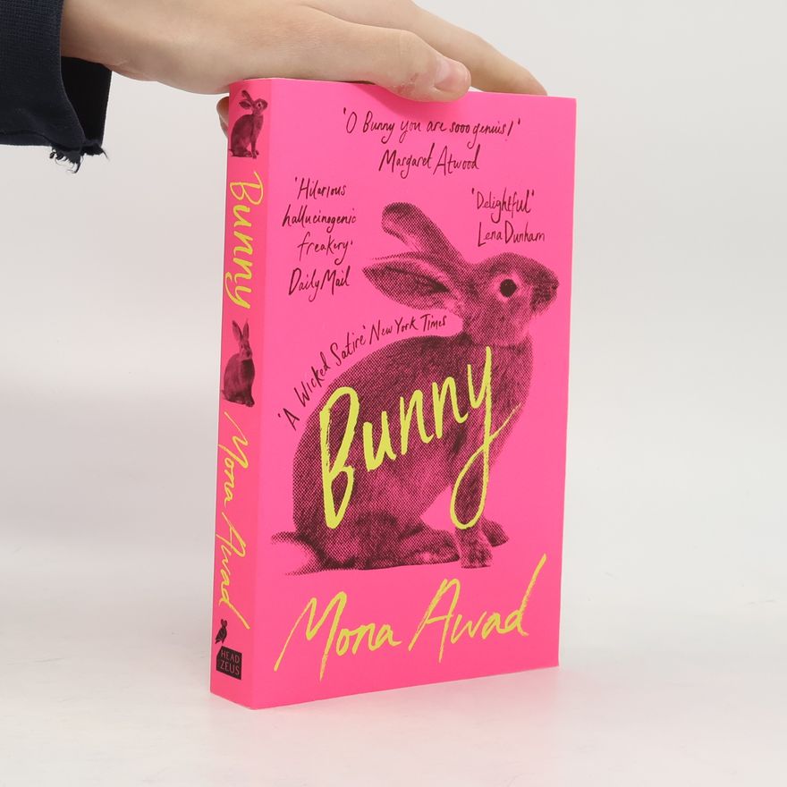 Mona Awad Bunny