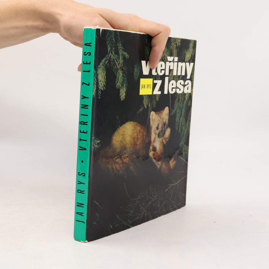 Jan Rys Vteřiny z lesa