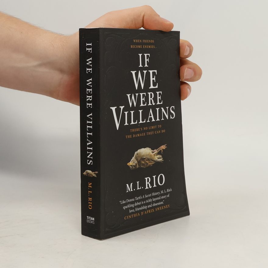 M. L. Rio If We Were Villains