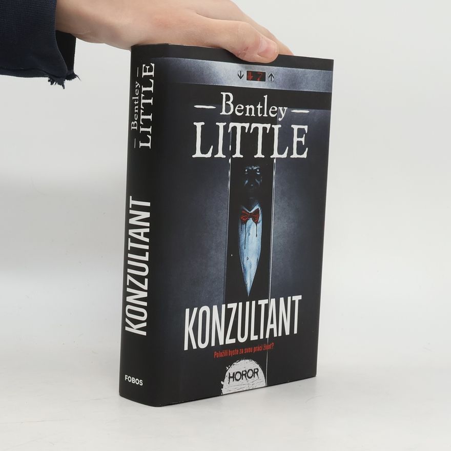 Bentley Little Konzultant