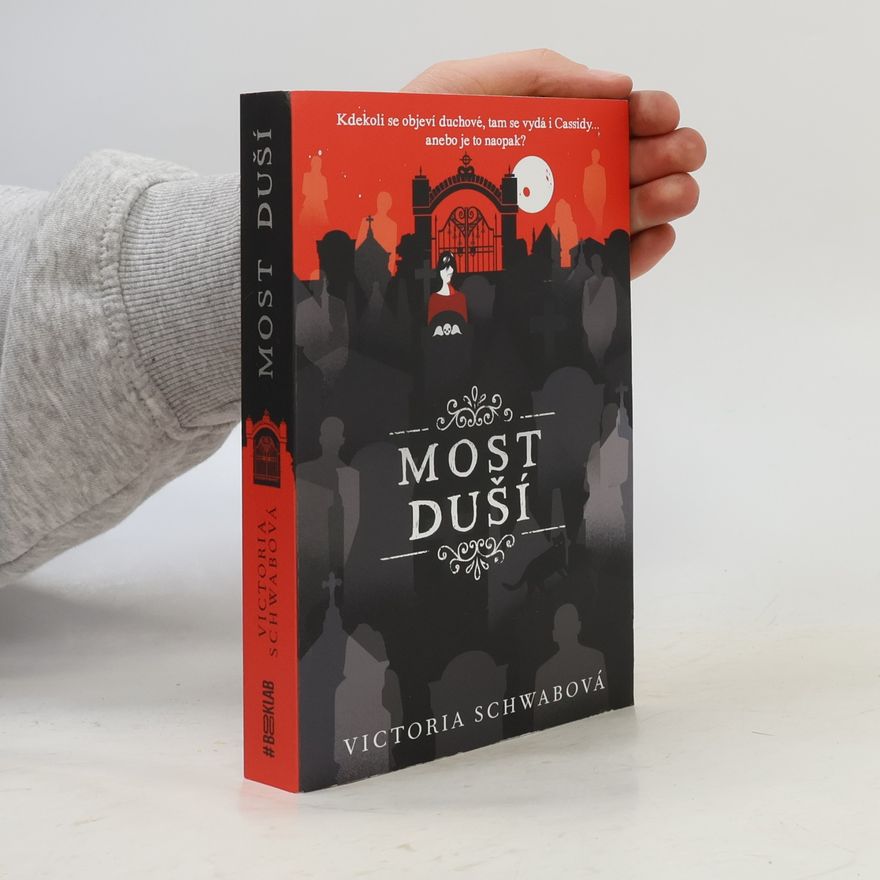 V. E. Schwab Most duší