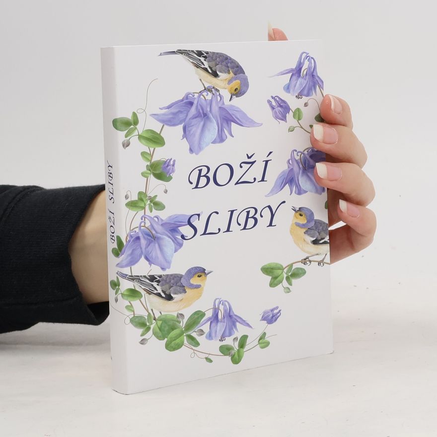 Kolektiv autorů Boží sliby