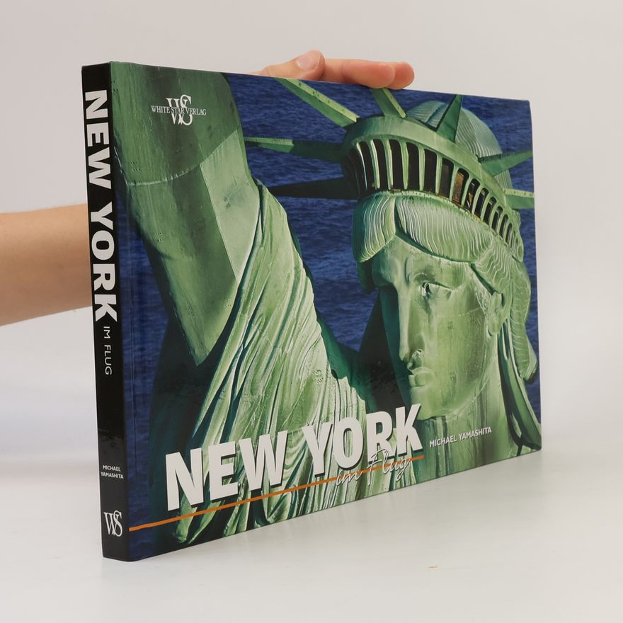 Michael Yamashita New York im Flug