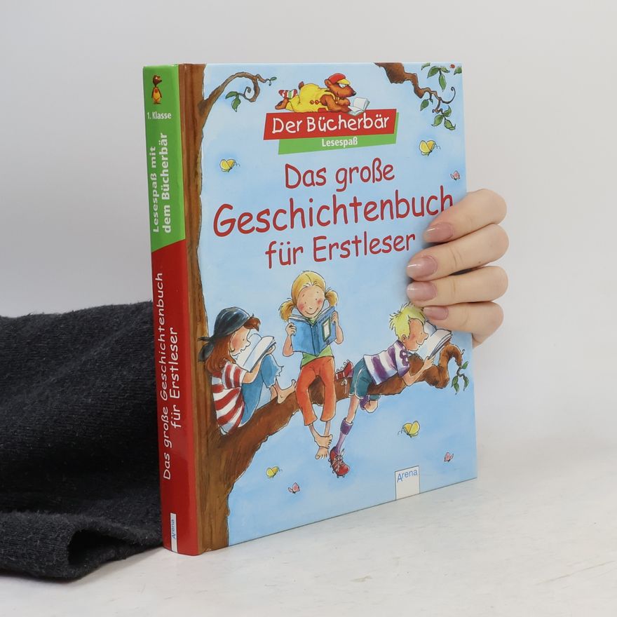 Kolektiv autorů Das große Geschichtenbuch für Erstleser