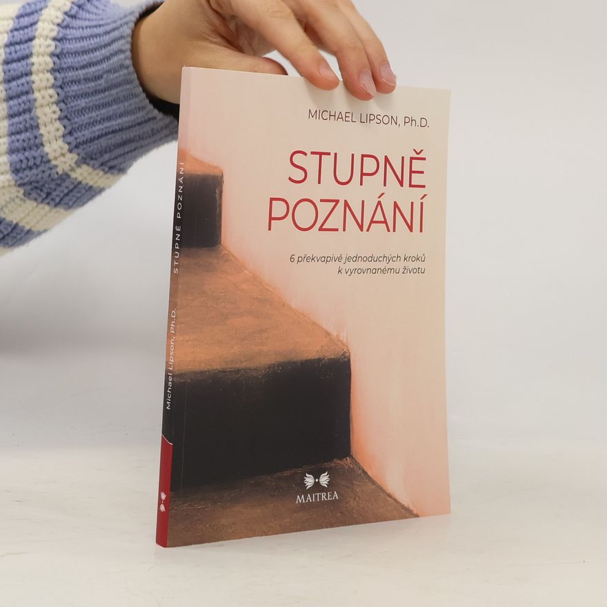 Michael Lipson Stupně poznání