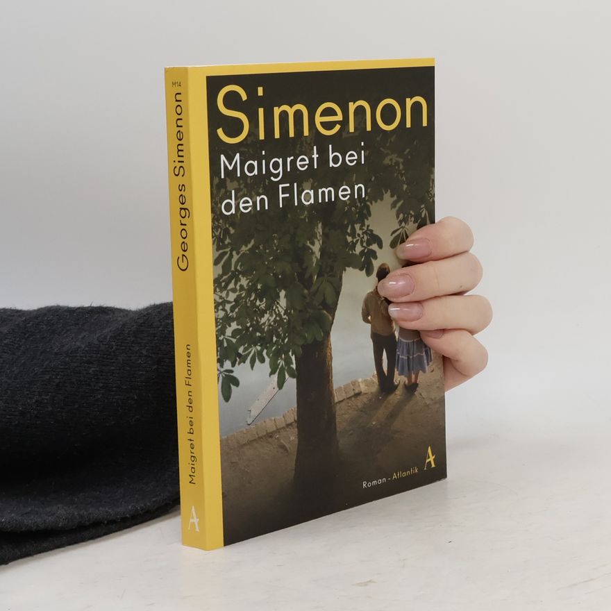 Georges Simenon Maigret bei den Flamen