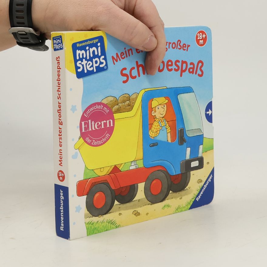 Klaus Bliesener Mein erster großer Schiebespaß