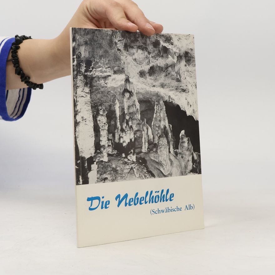 Autores varios Die Nebelhöhle