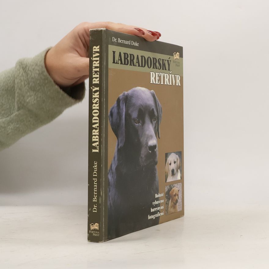 Bernard Duke Labradorský retrívr