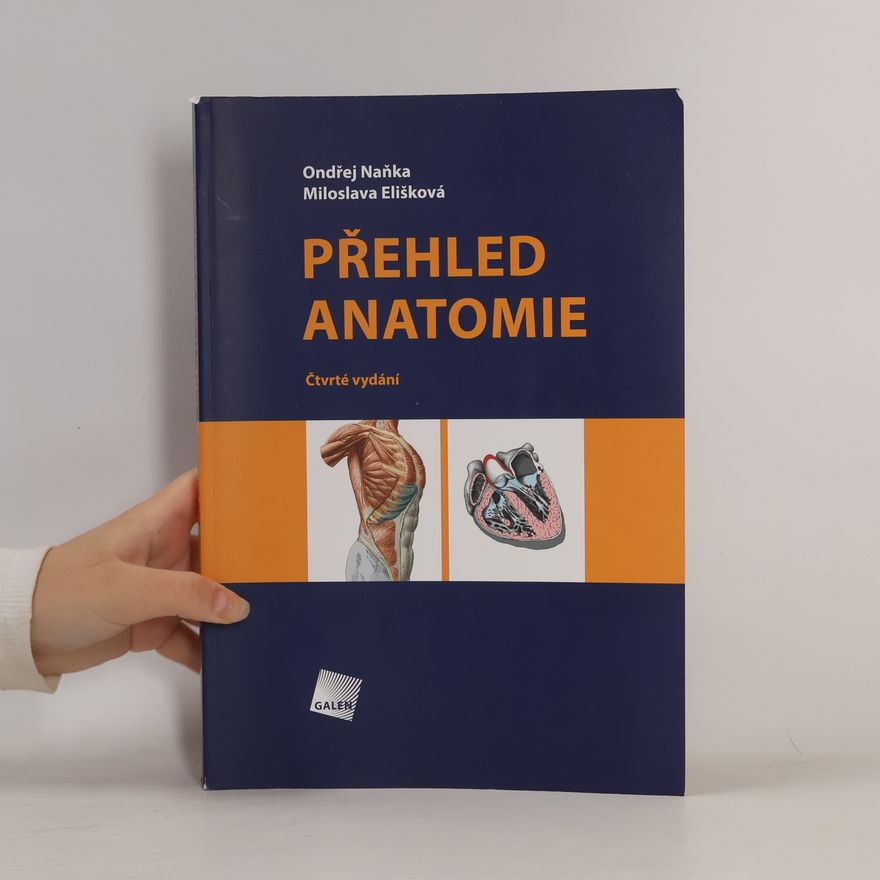 Miloslava Elišková Přehled anatomie