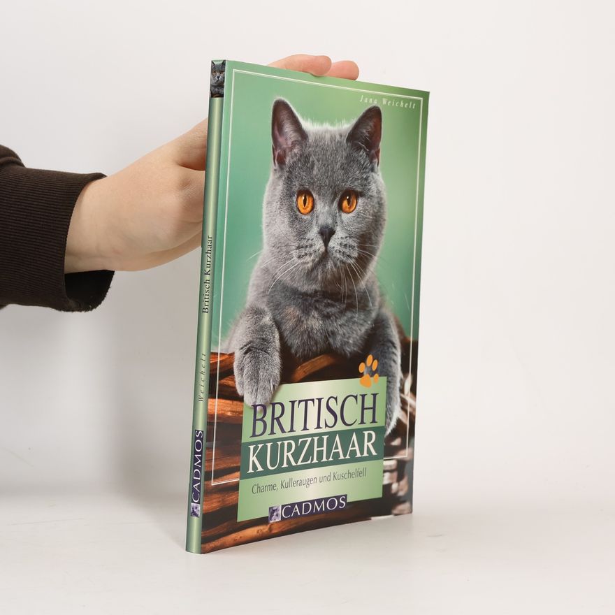 Jana Weichelt Britisch Kurzhaar