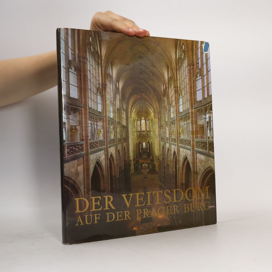 Jiří Burian Der Veitsdom auf der Prager Burg