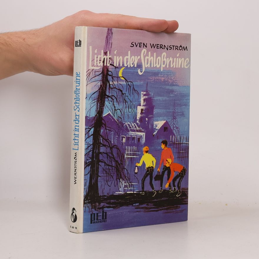 Sven Wernström Licht in der Schloßruine
