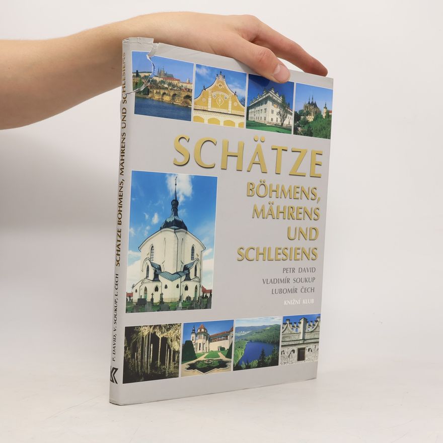 Petr David Schätze Böhmens, Mährens und Schlesiens