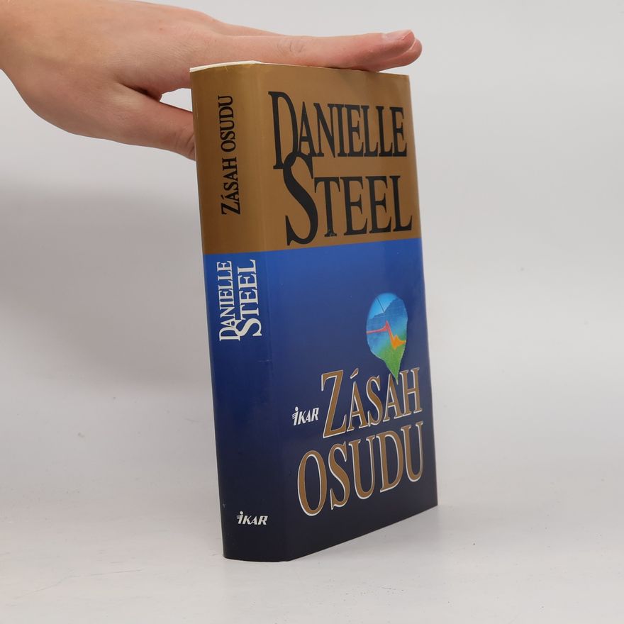 Danielle Steel Zásah osudu
