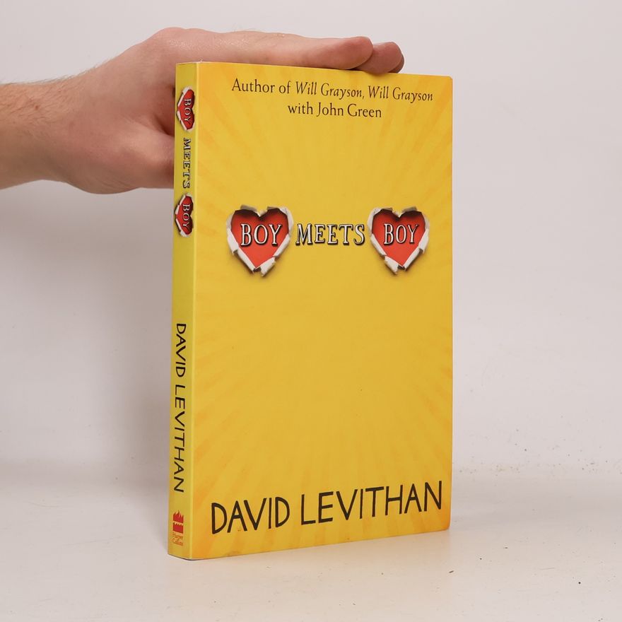 David Levithan Boy Meets Boy