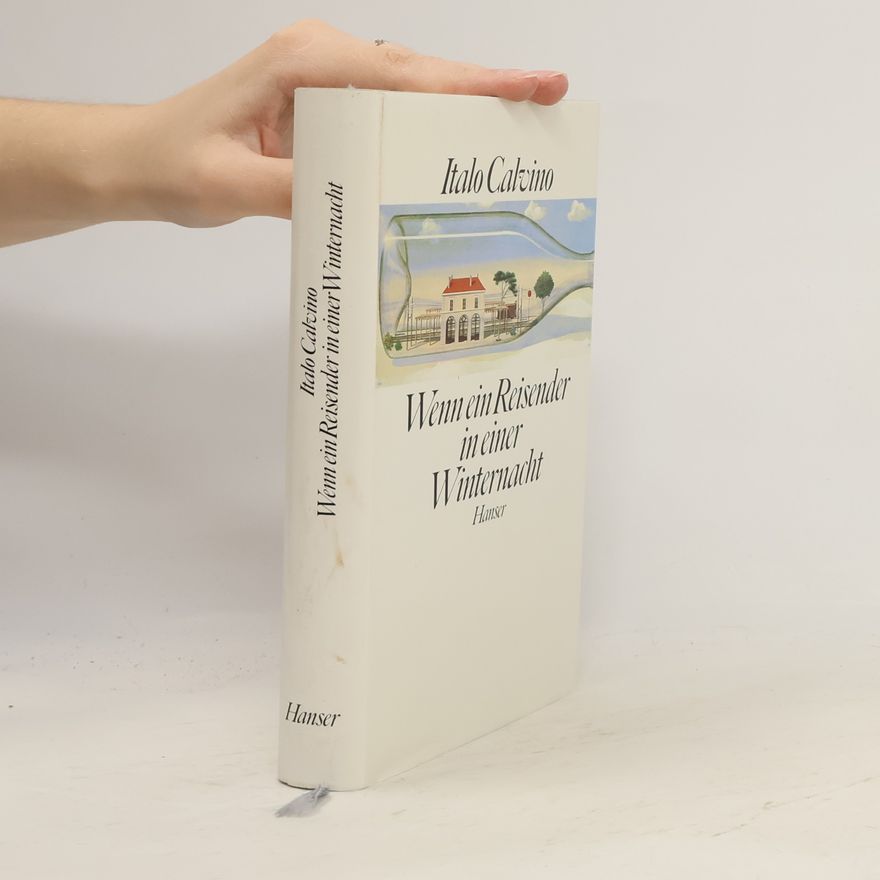 Italo Calvino Wenn ein Reisender in einer Winternacht