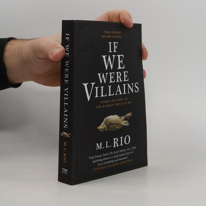 M. L. Rio If We Were Villains