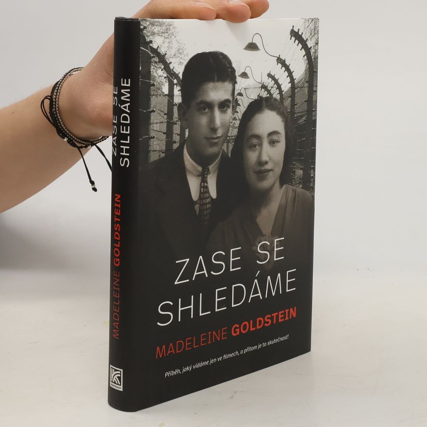 Madeleine Goldstein Zase se shledáme