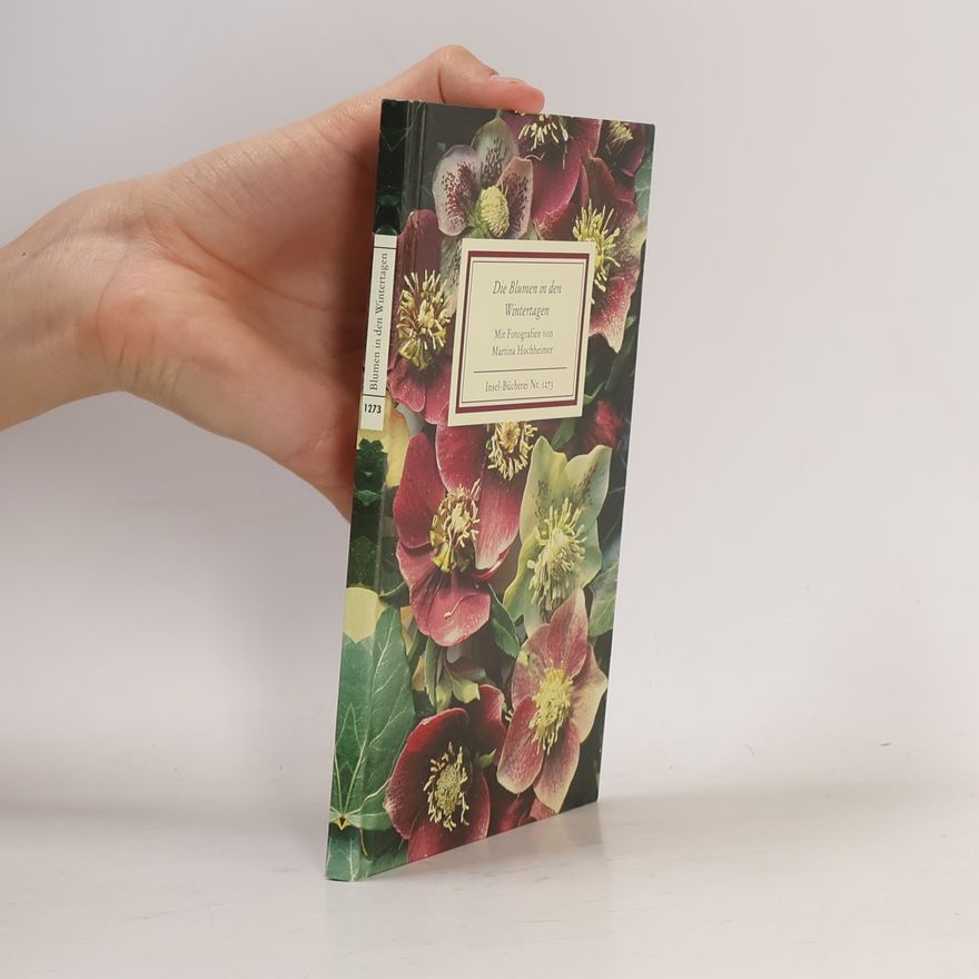 Martina Hochheimer Die Blumen in den Wintertagen