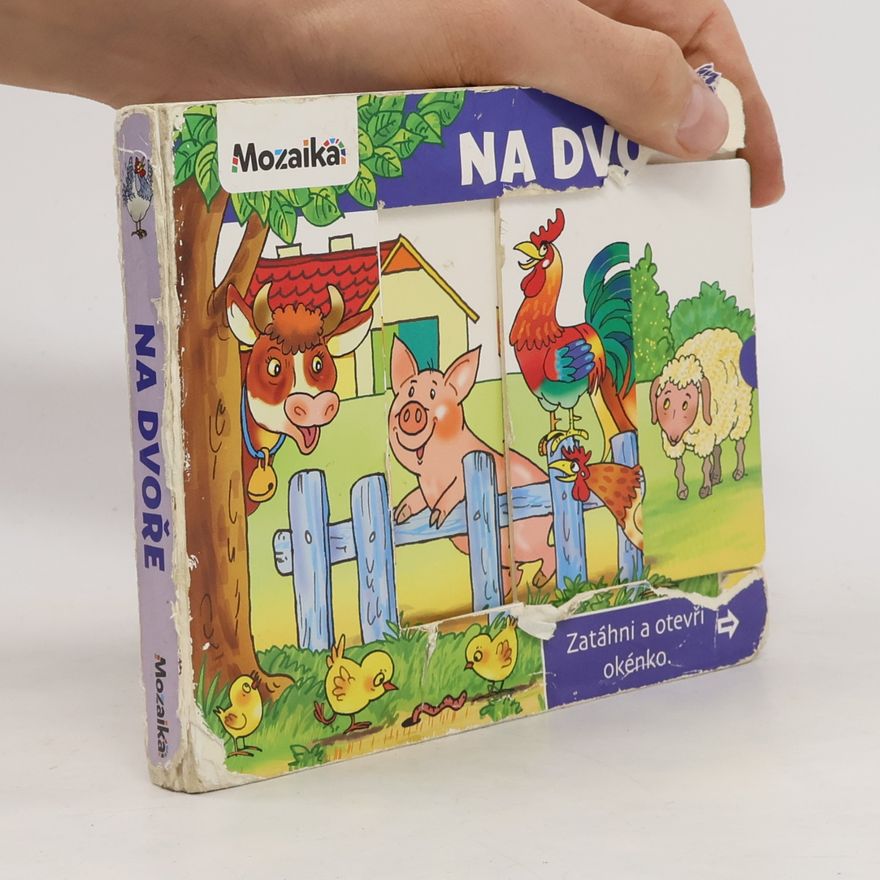 Antonín Šplíchal Na dvoře