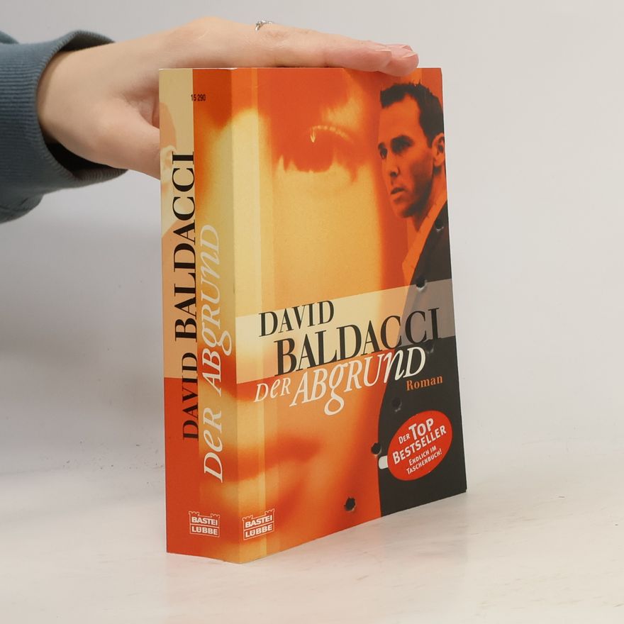 David Baldacci Der Abgrund