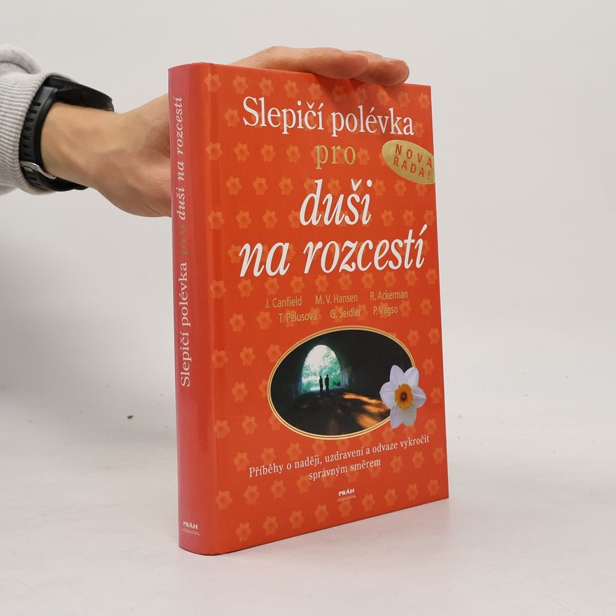 Jack Canfield Slepičí polévka pro duši na rozcestí