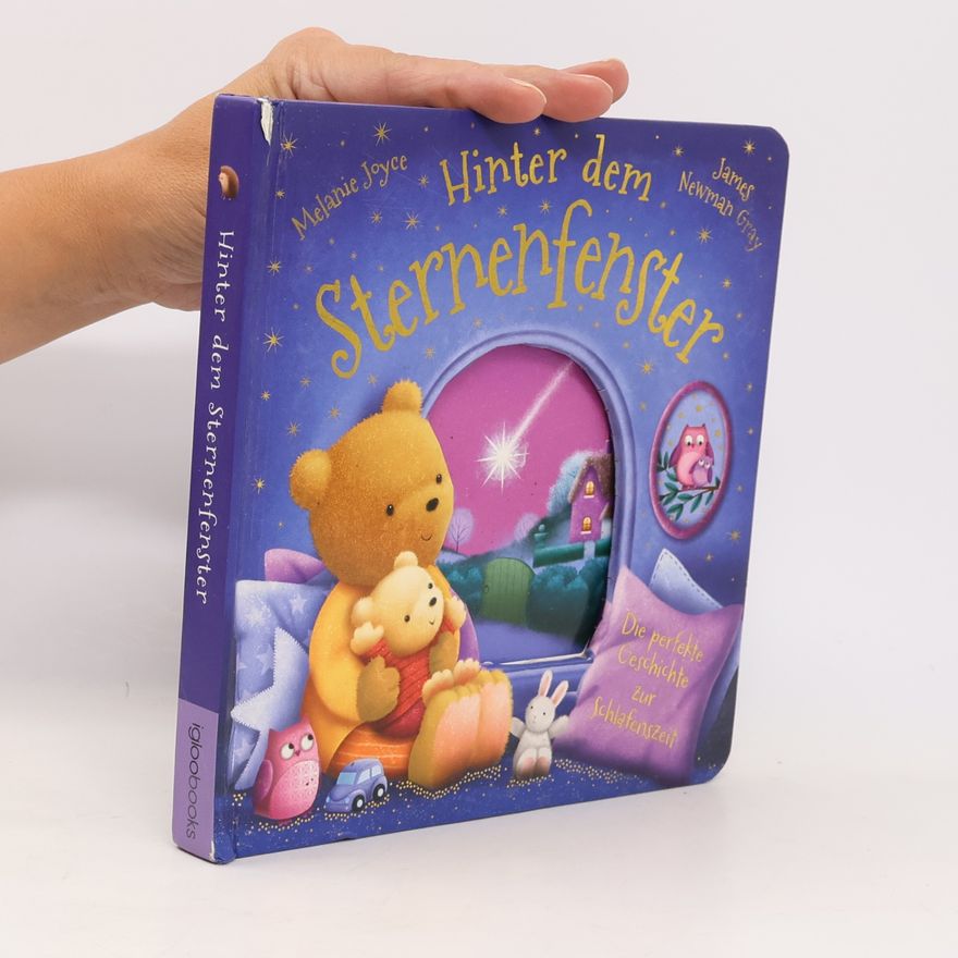 Melanie Joyce Hinter dem Sternenfenster