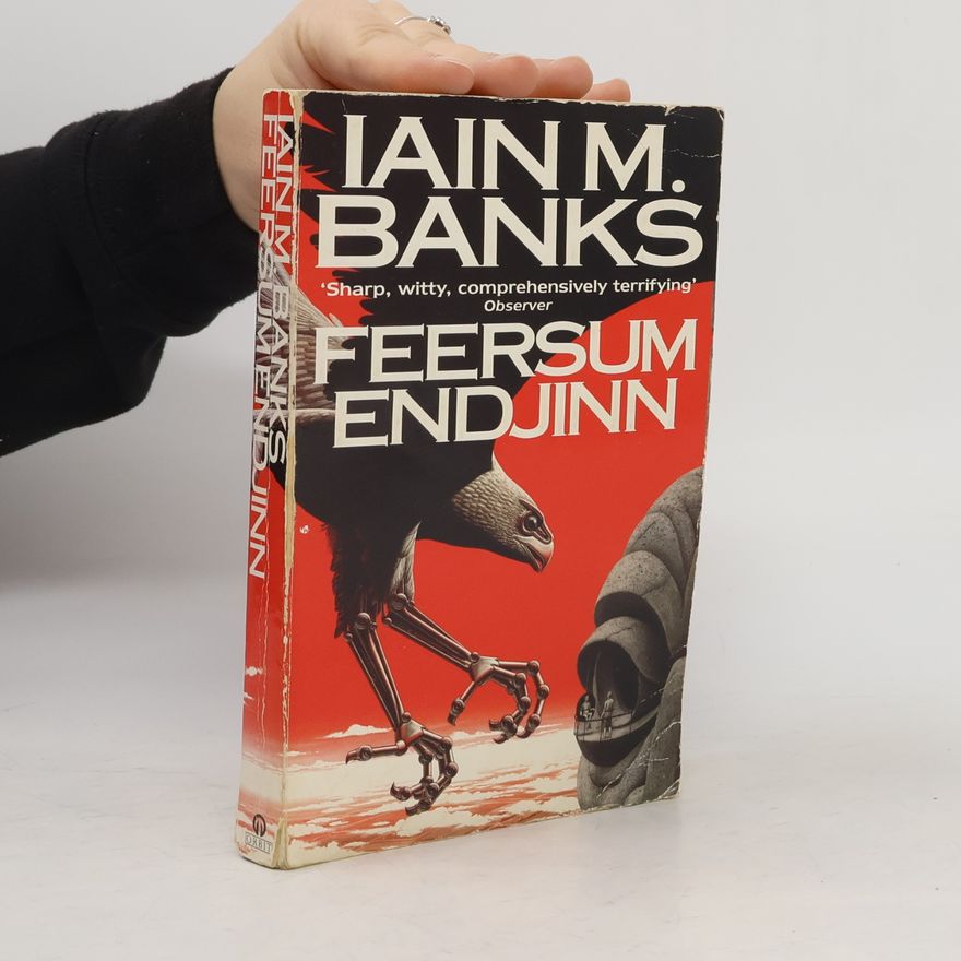 Iain M. Banks Feersum endjinn