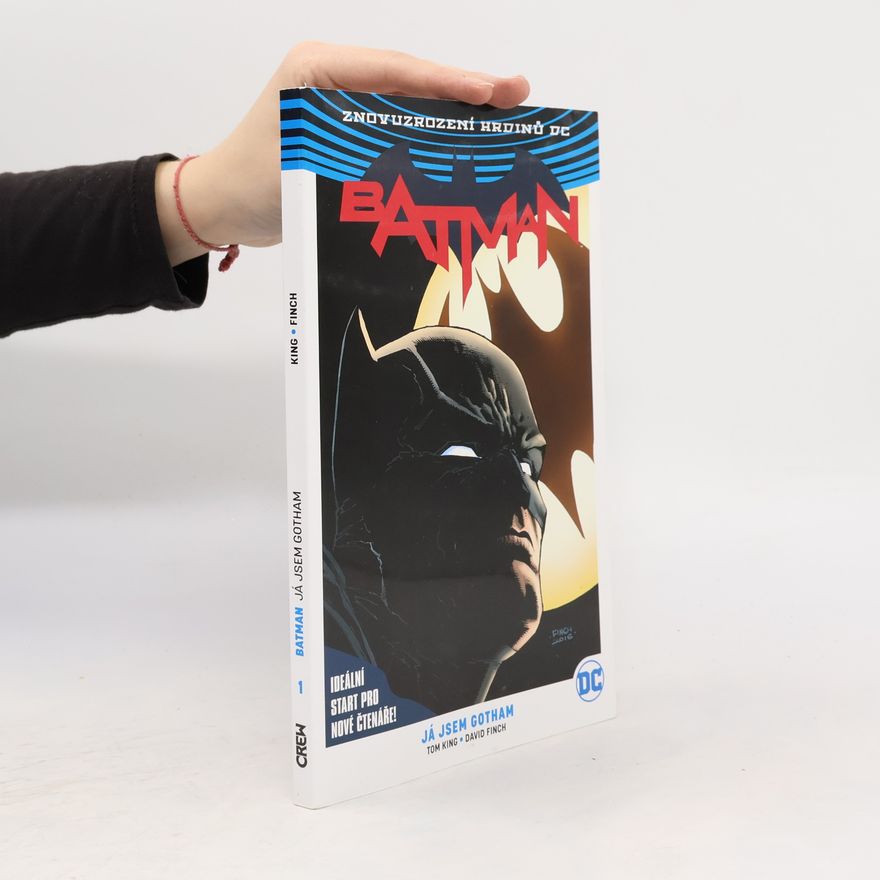Tom King Batman. 1. díl, Já jsem Gotham