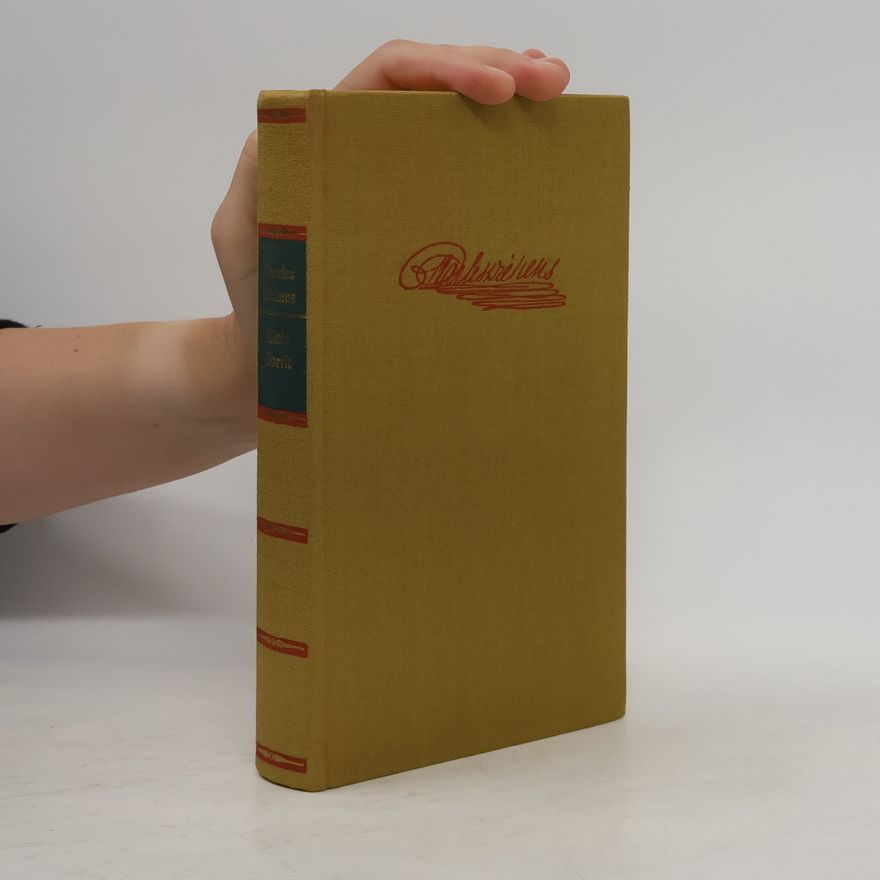 Charles Dickens Klein Dorrit