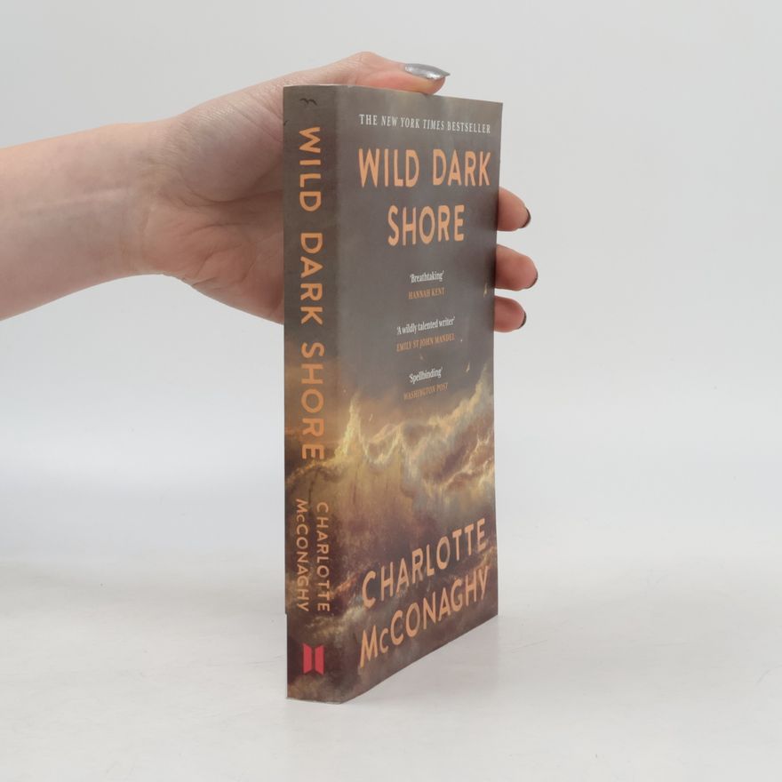 CHARLOTTE. MCCONAGHY Wild Dark Shore