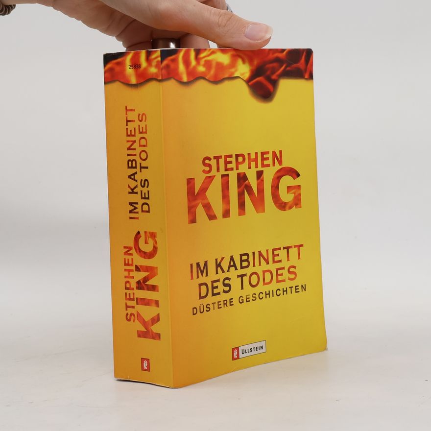 Stephen King Im Kabinett des Todes