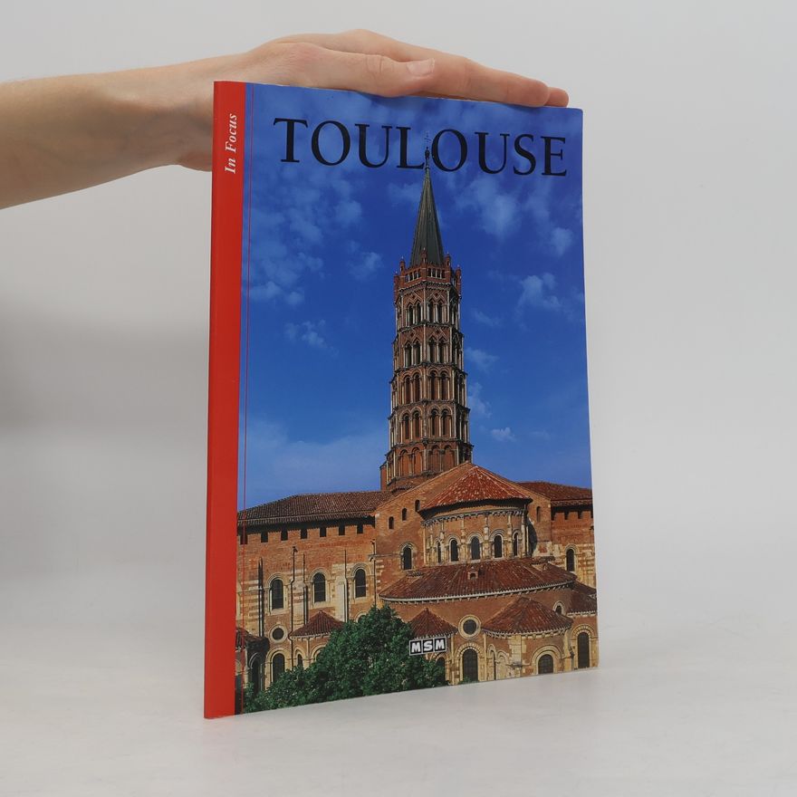 Autorenkollektiv In Focus: Toulouse (ANG)-Arrets/Images