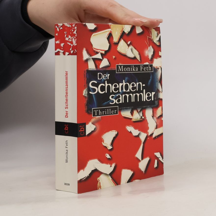 Monika Feth Der Scherbensammler