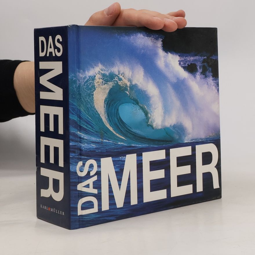 Gaetano Cafiero Das Meer