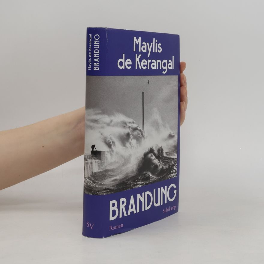 Maylis de Kerangal Brandung